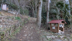 PXL_20260307_225136850