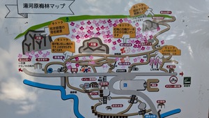 PXL_20260228_011426011