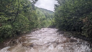PXL_20220902_233337639