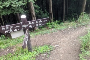 PXL_20220820_052236502