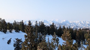 PXL_20260321_223228277