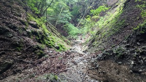 PXL_20220827_031633597