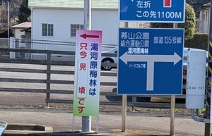 PXL_20260228_003433574~2