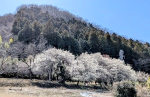 PXL_20260308_032447890~2