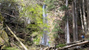 PXL_20260411_235419618