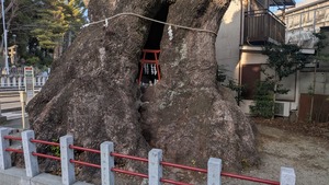 PXL_20260228_073106142