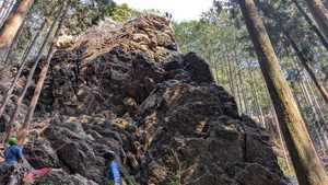 PXL_20260329_051314761