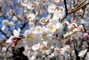 PXL_20260308_034411741~2