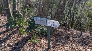 PXL_20260308_000528808