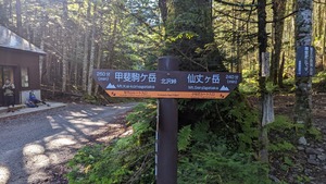 PXL_20220910_223015405