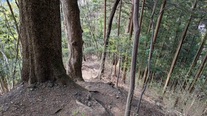 PXL_20260412_001156416