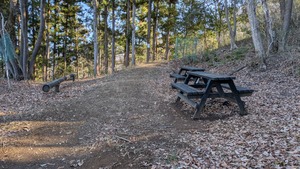 PXL_20260307_230300025