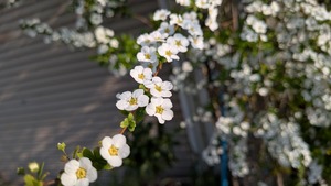 PXL_20260328_070539379