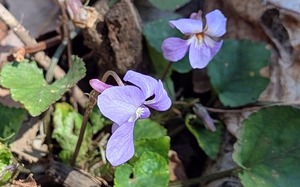 PXL_20260228_023434854~2