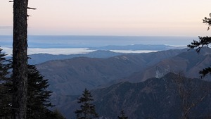 PXL_20260314_205601081