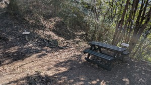 PXL_20260308_002101705