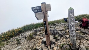 PXL_20220904_031500694~3