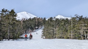 PXL_20260404_233435089