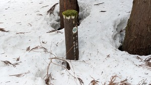 PXL_20260301_001744592