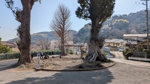 PXL_20260228_052919195