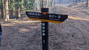 PXL_20260313_230804480