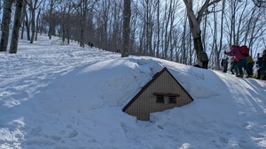 PXL_20260321_234850582
