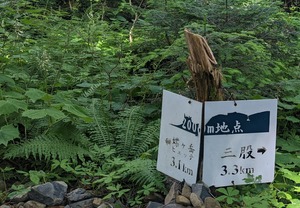 PXL_20220807_013812206