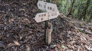 PXL_20260308_011006295