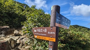 PXL_20220911_003807043