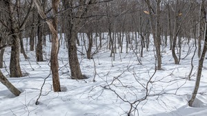 PXL_20260301_012549146