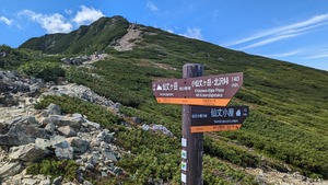 PXL_20220911_011127922