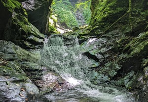 PXL_20220723_005659439