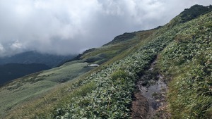 PXL_20220904_013106211