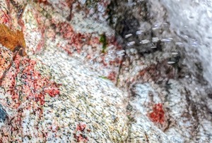 PXL_20220827_005315643~2