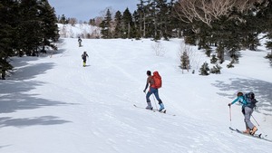 PXL_20260405_002518864