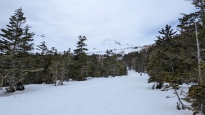 PXL_20260405_032346059