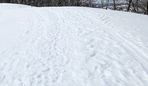 PXL_20260322_024718221