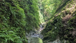 PXL_20220827_002618158