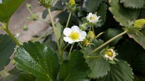 PXL_20260328_012112302