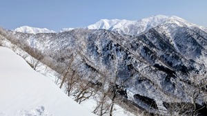 PXL_20260301_041628735~2