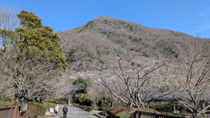 PXL_20260228_011512956