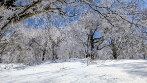 PXL_20260301_033024455~2