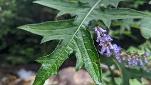 PXL_20220902_235916834