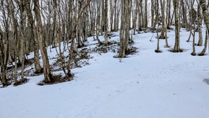 PXL_20260301_004612302~2