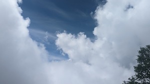 PXL_20220806_010538635
