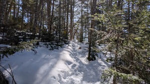 PXL_20260314_053653064