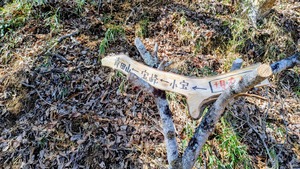 PXL_20260308_020405633~2