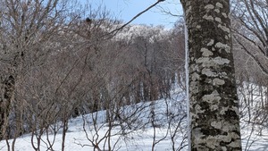 PXL_20260301_014416098