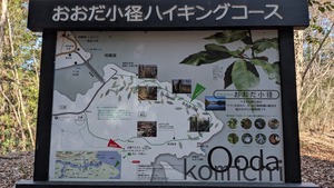 PXL_20260308_014829615