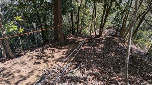 PXL_20260308_014112559